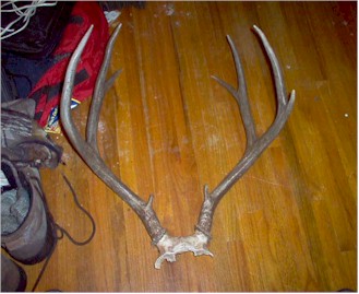 Jfrontw.jpg (29880 bytes)