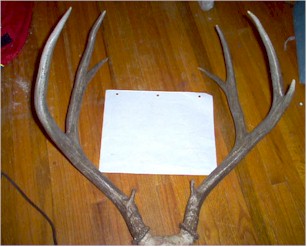 JpaperguideW.jpg (24506 bytes)