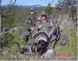 SCweb.jpg (42557 bytes)