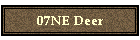 07NE Deer
