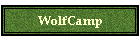 WolfCamp