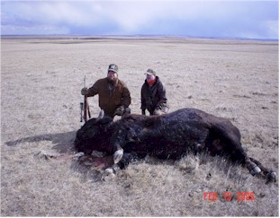 buckbuffW.jpg (27446 bytes)