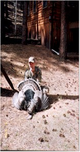 jefftomW.jpg (22952 bytes)